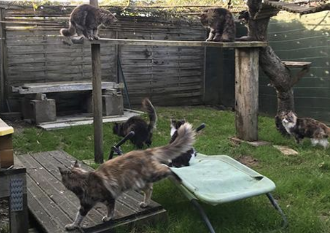 La-chatterie-de-la-plaine-de-nay-Benejacq1