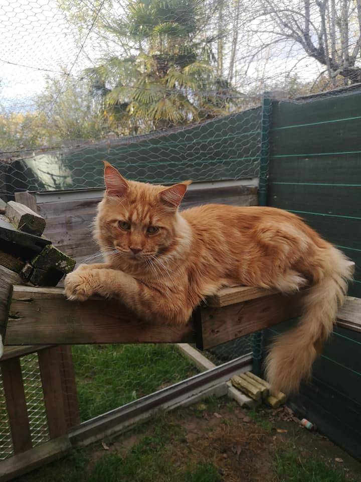 La-chatterie-de-la-plaine-de-nay-Benejacq4