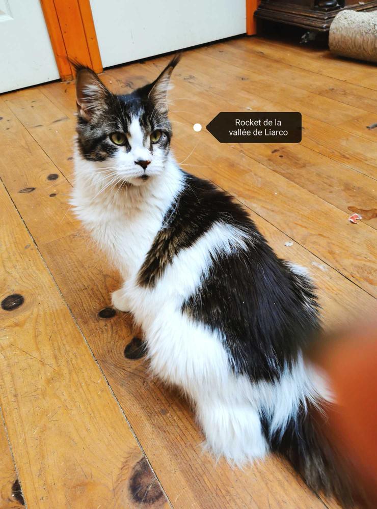 La-chatterie-de-la-plaine-de-nay-Benejacq1