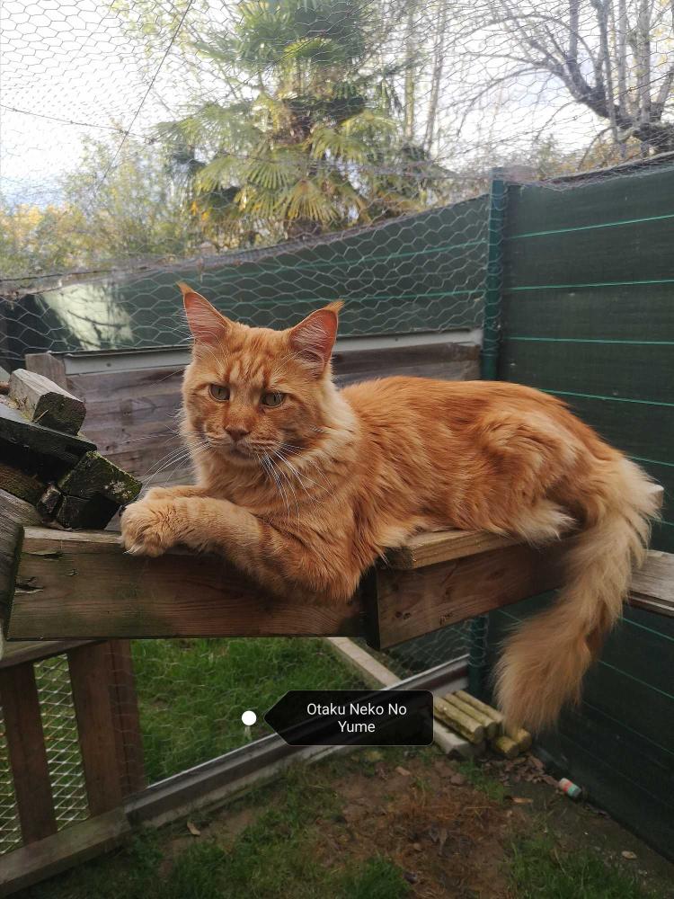 La-chatterie-de-la-plaine-de-nay-Benejacq7