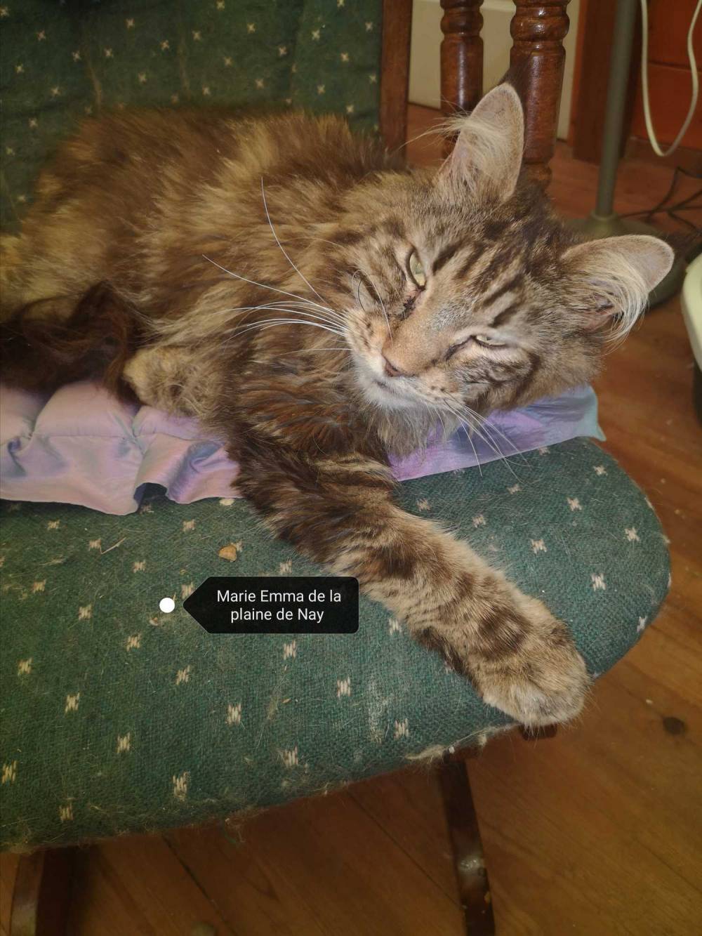 La-chatterie-de-la-plaine-de-nay-Benejacq5