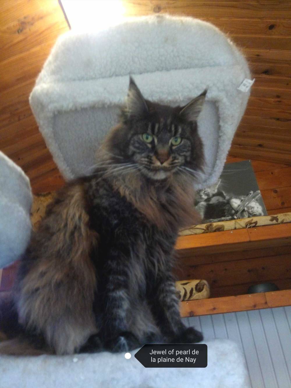 La-chatterie-de-la-plaine-de-nay-Benejacq4